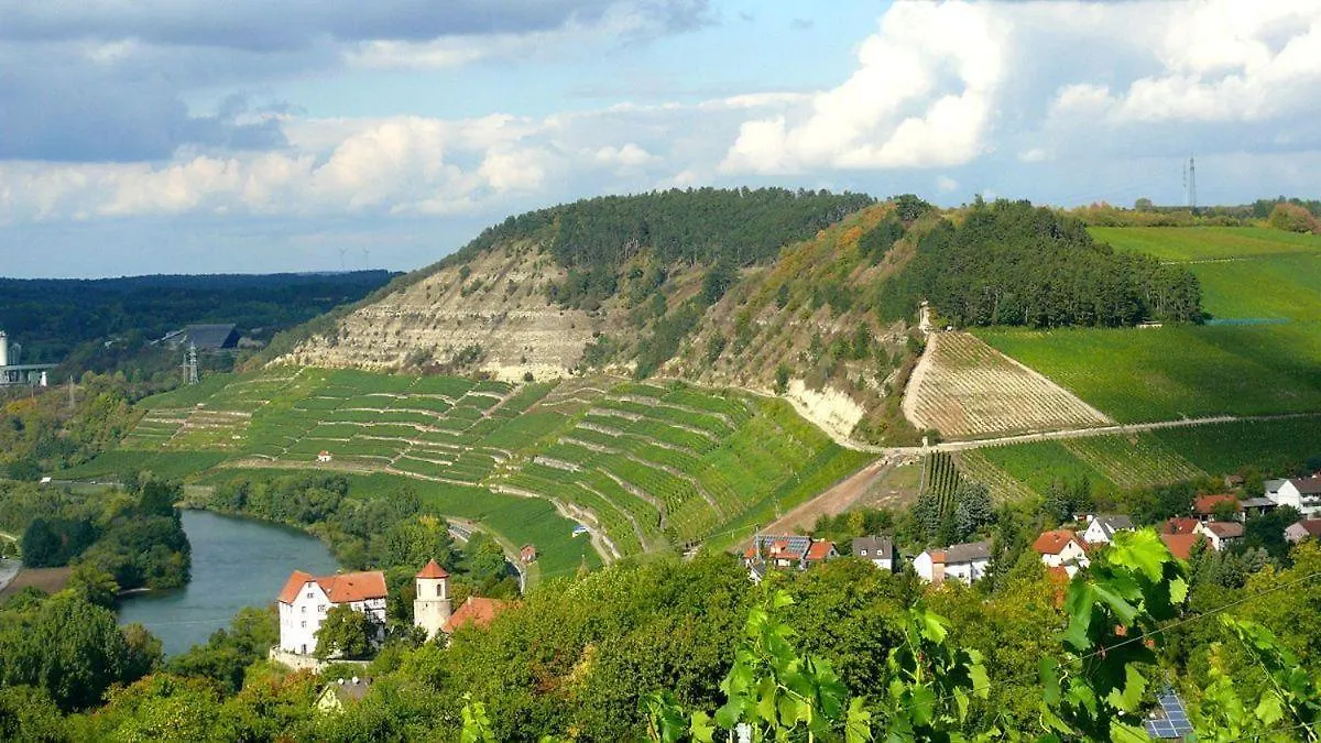 Die Marktheidenfeld